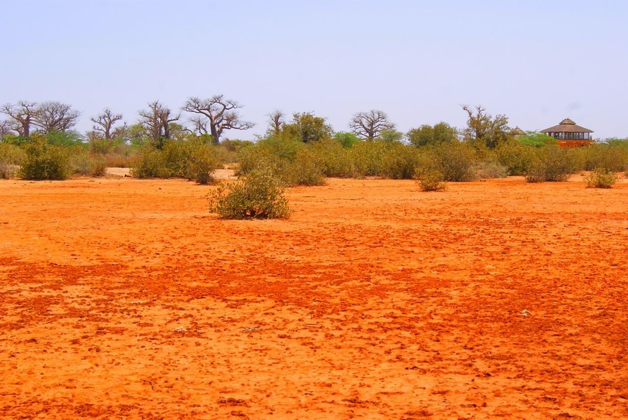 Le Lodge Dalaal Diam سوموان المظهر الخارجي الصورة
